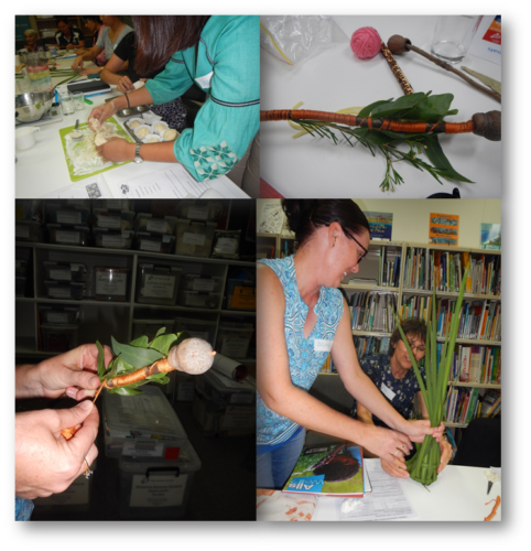 Aboriginal Elaborations for Primary Biological Science & SHE